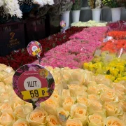 Городская база цветов фото 3 на сайте Butovo.su