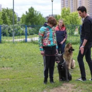 Школа дрессировки собак Пёсополис в Чечёрском проезде фото 5 на сайте Butovo.su