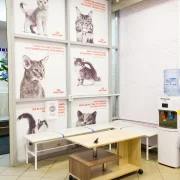 Ветеринарная клиника Белая Медведица фото 9 на сайте Butovo.su