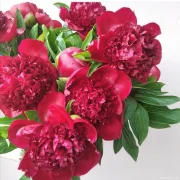 Студия цветов и подарков Цветочный Квартал фото 3 на сайте Butovo.su
