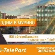 Автоматизированный пункт выдачи Teleport на улице Грина фото 3 на сайте Butovo.su