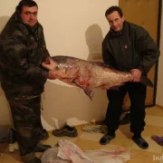 Магазин рыболовных принадлежностей Рыболов на улице Академика Семёнова  фото 4 на сайте Butovo.su