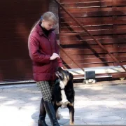 Клуб владельцев рабочих собак Вега фото 3 на сайте Butovo.su