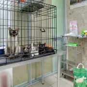 Ветеринарная клиника Гарфилд фото 14 на сайте Butovo.su