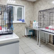 Ветеринарная клиника Гарфилд фото 12 на сайте Butovo.su