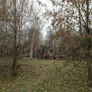 Кладбище Черневское фото 2 на сайте Butovo.su